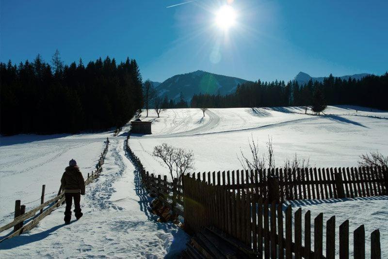 Hotel Alpengasthof Fichtenheim Ramsau am Dachstein Esterno foto